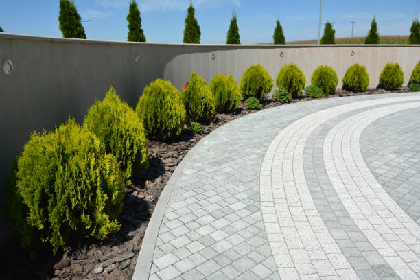 Best Custom Driveway Pavers  in Dolgeville, NY